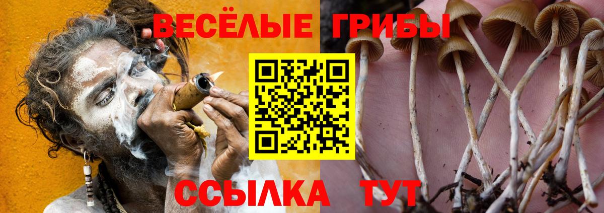 Псилоцибиновые грибы Psilocybe  Вход с VPN  Ипатово 