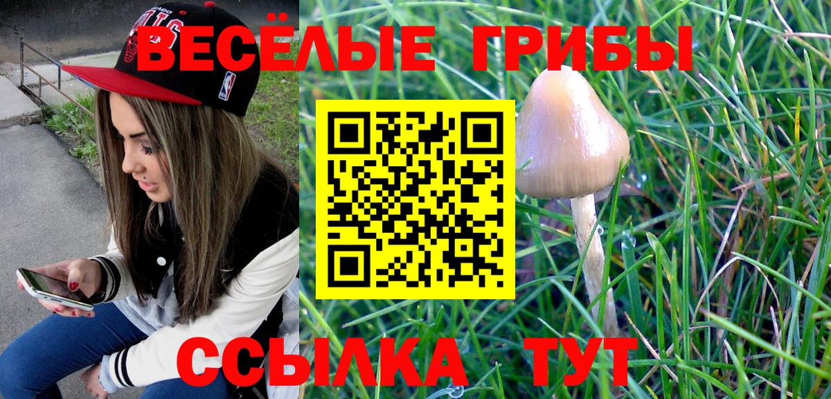 Псилоцибиновые грибы мухоморы Ипатово